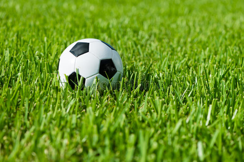 soccer-ball-futbol-grass-black-white-traditional-football-57536984.jpg